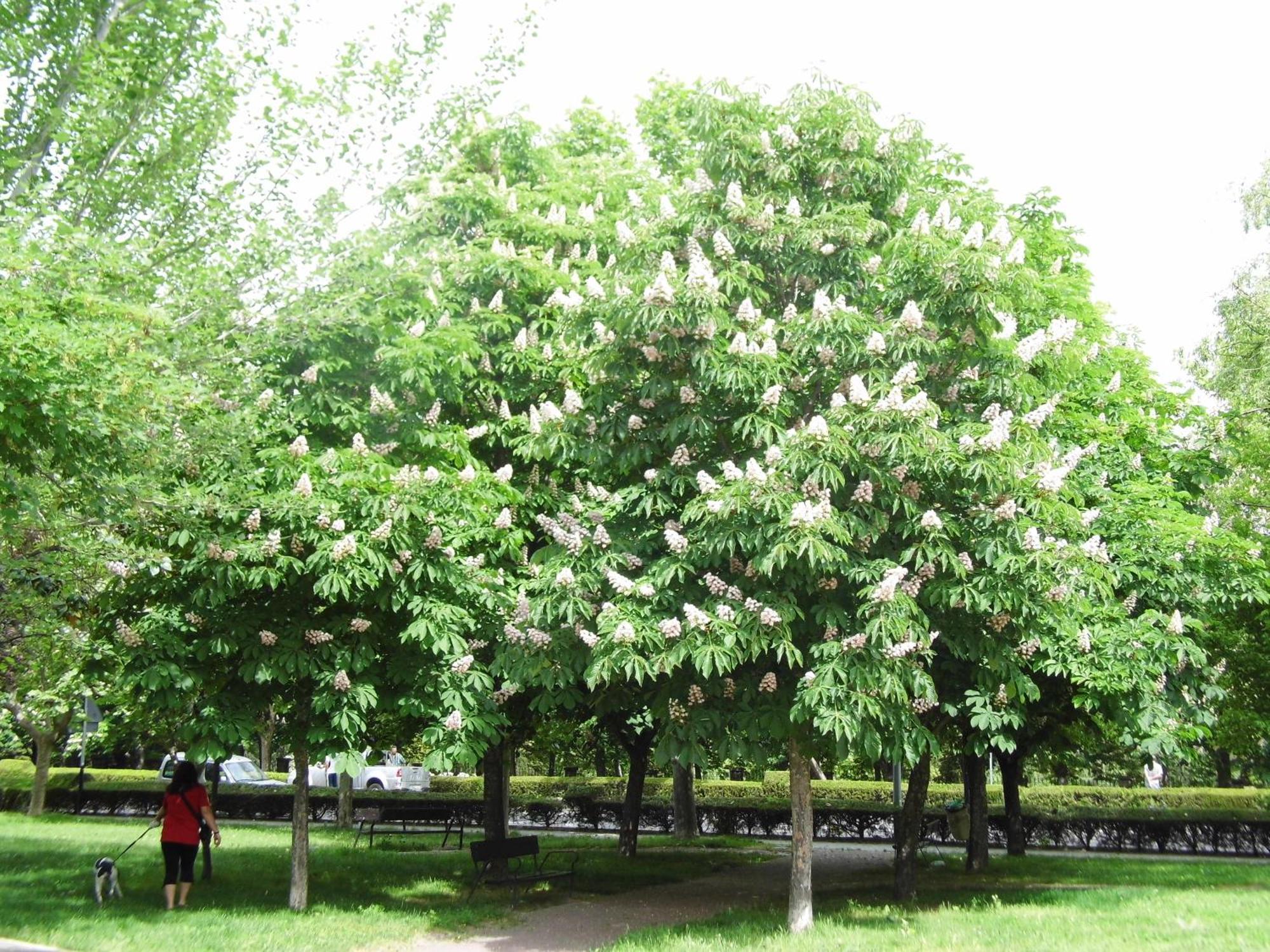 Alhondiga Hervas